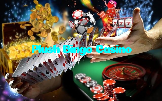 available types of Plush Bingo Casino bet including pre-match live express and system bets
